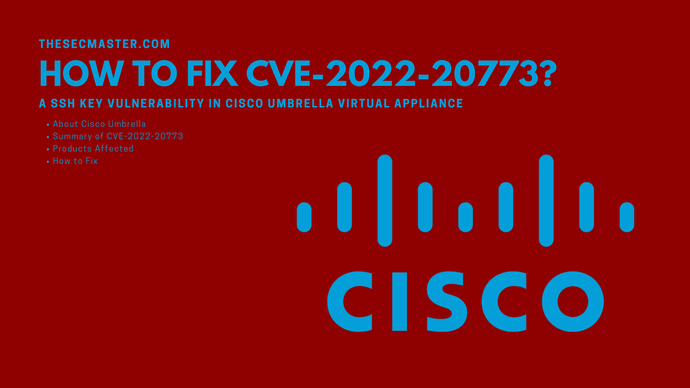 How To Fix The Ssh Key Vulnerability In Cisco Umbrella Virtual Appliance Cve 2022 20773