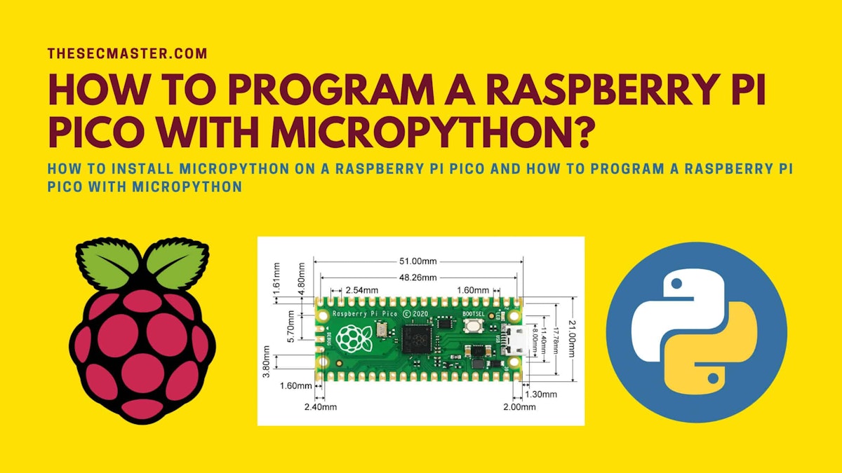 Program Raspberry Pi Pico with MicroPython Guide
