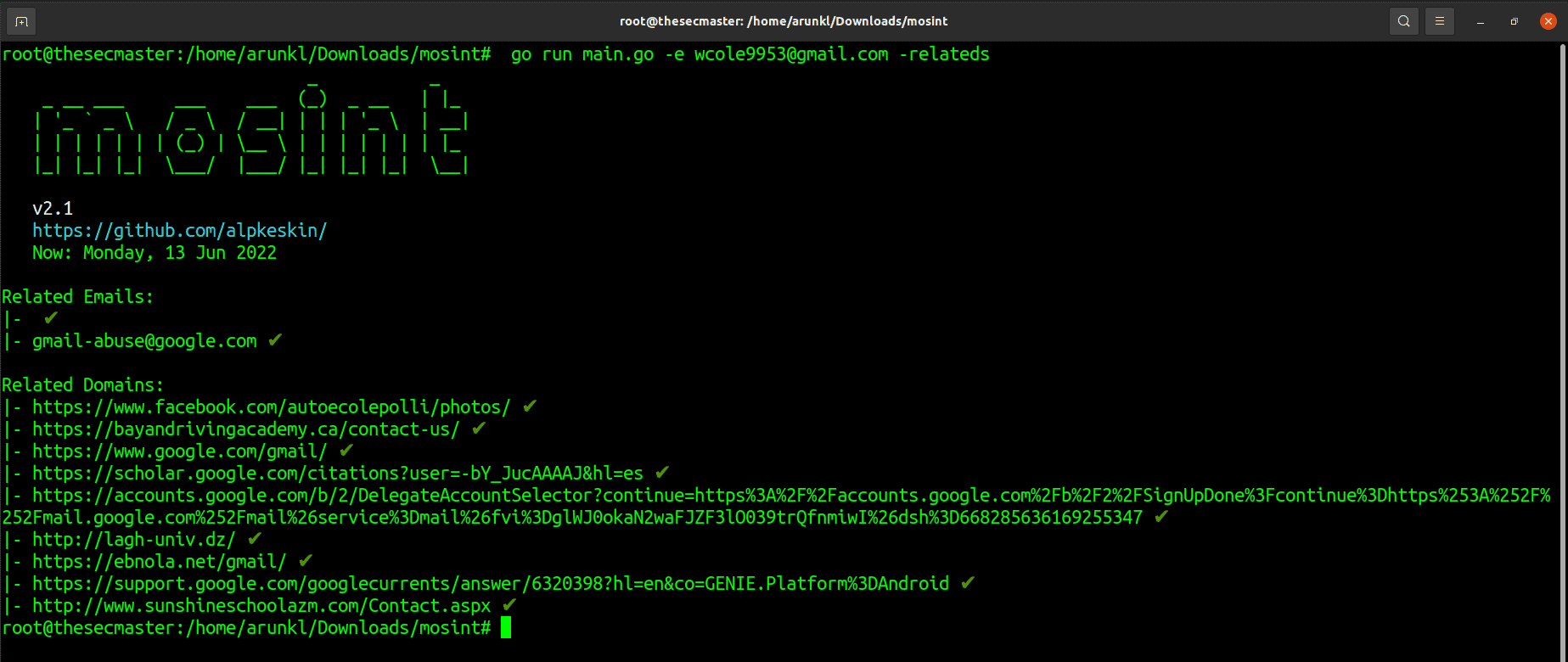 Check The Related Emails And Domains Associated With The Email Id