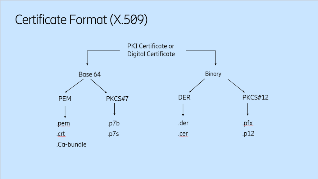 What Are The Different Types Of Certificate Formats