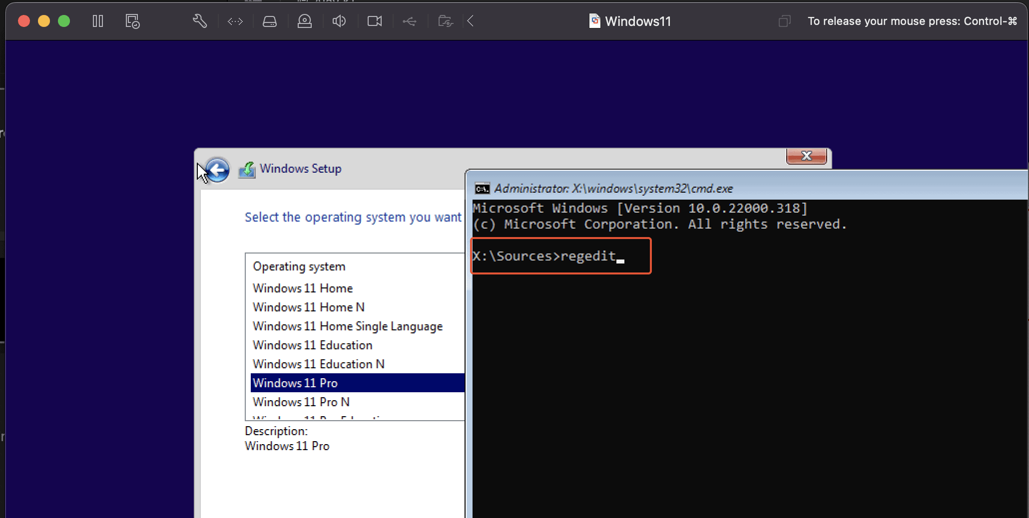 Create Registry Keys To Bypass The System Requirement Validation Which Helps To Install Windows 11