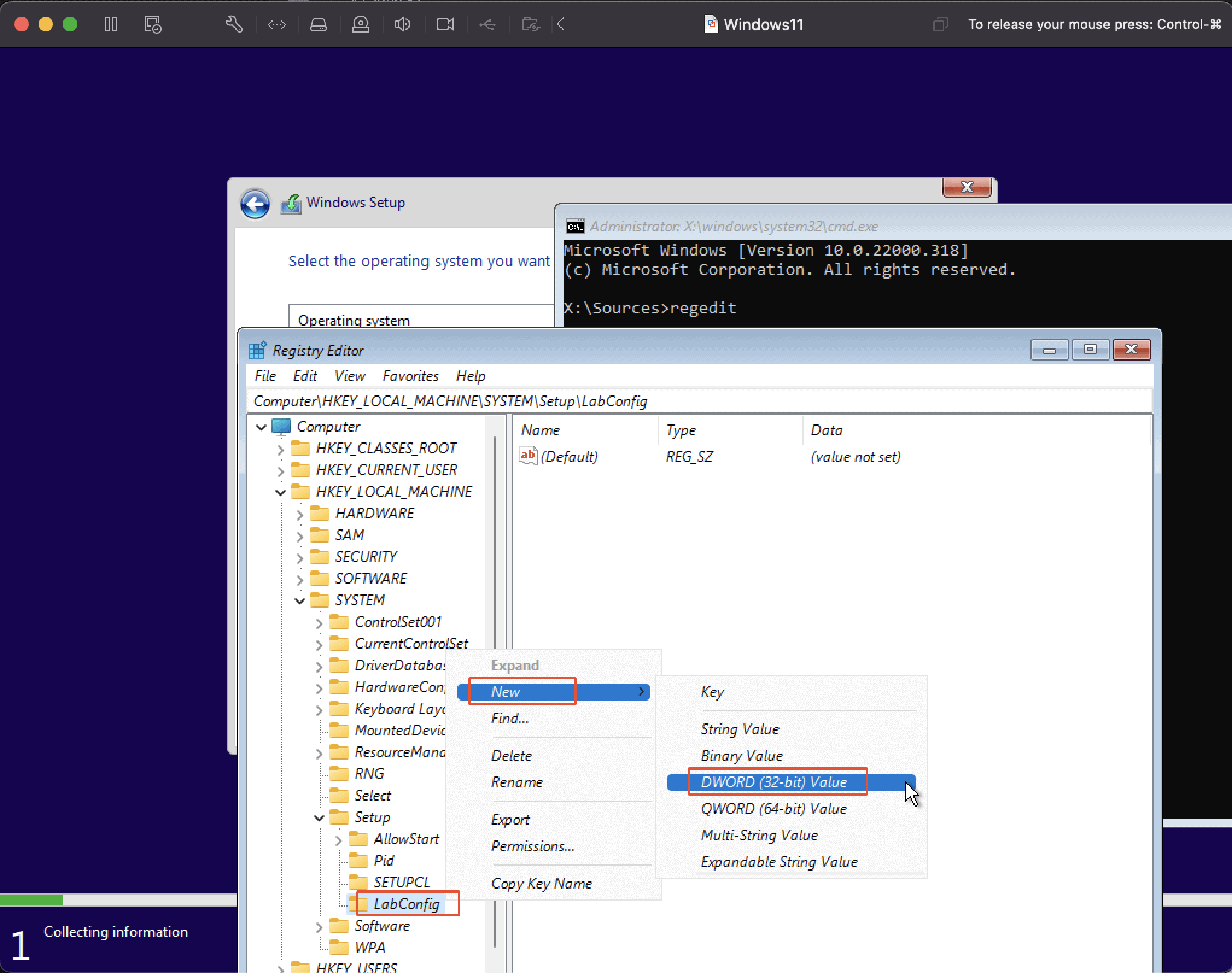 Create 4 Bypass Entries Under Key Labconfig To Bypass System Requirement Validation