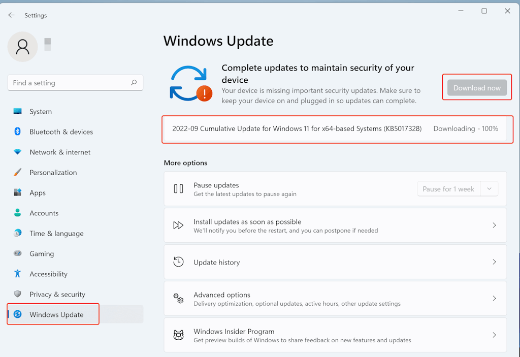 An Image To View Windows Update In Settings Window