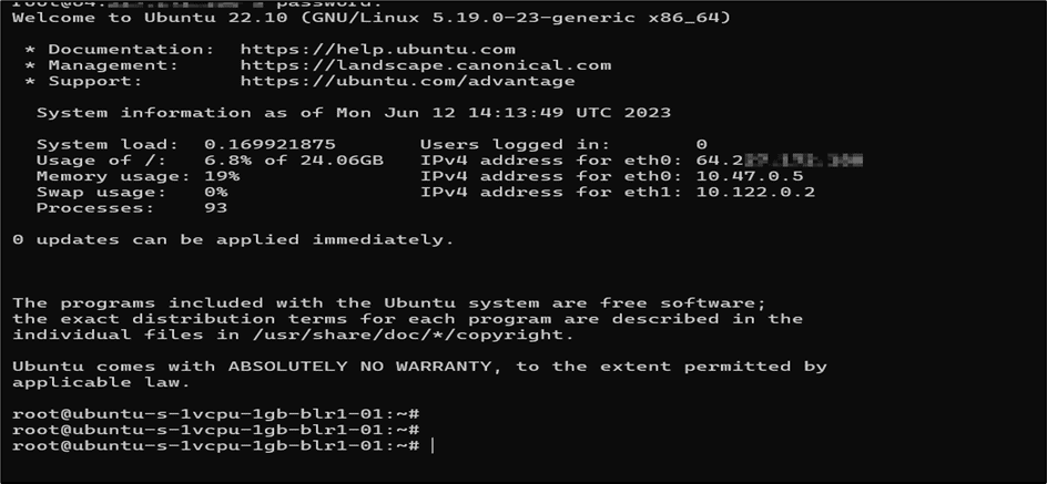 Ssh Login Screen Of The Ubuntu Droplet