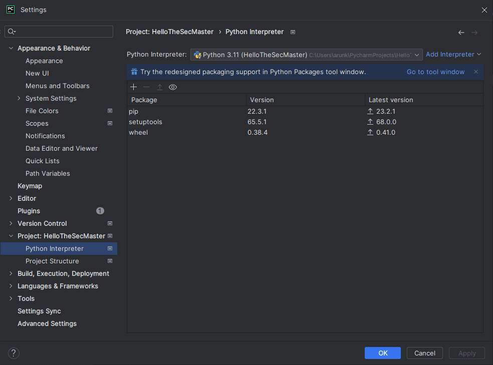 Install Python Interpreter