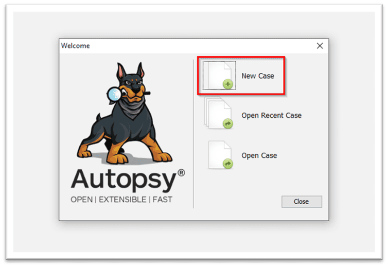 Launch Autopsy