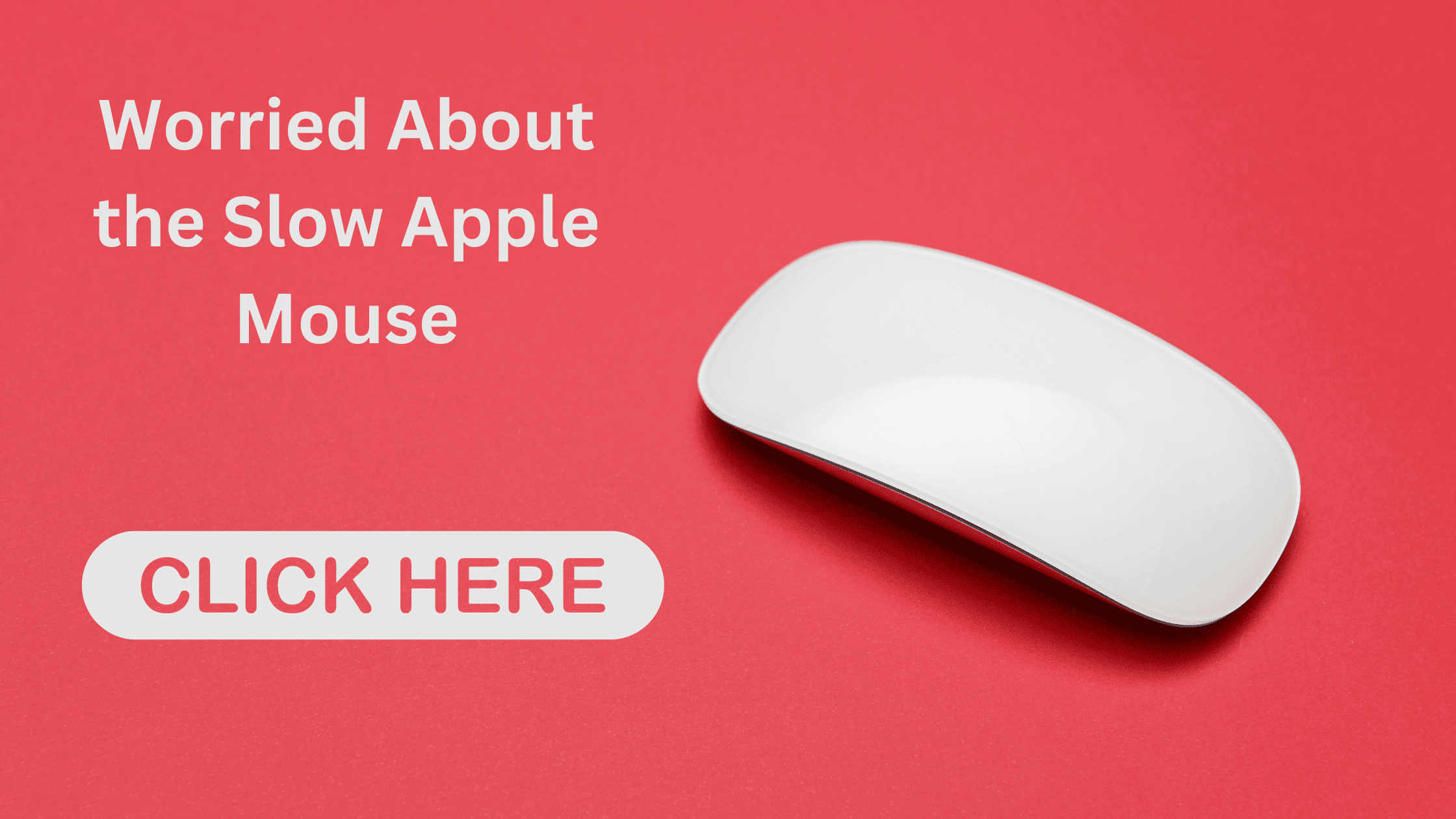 Do You Think Your Apple Mouse Is Slower Here Is How You Can Speed Up Your Apple Mouse