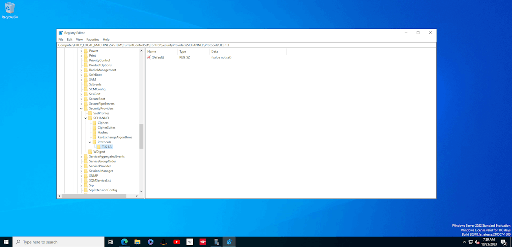 Created Tls 1 3 Key Underneath Protocols In Windows Server 2022