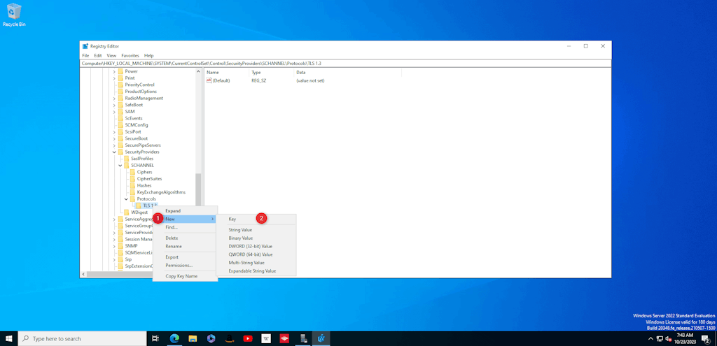Create New Registry Key Under Tls 1 3