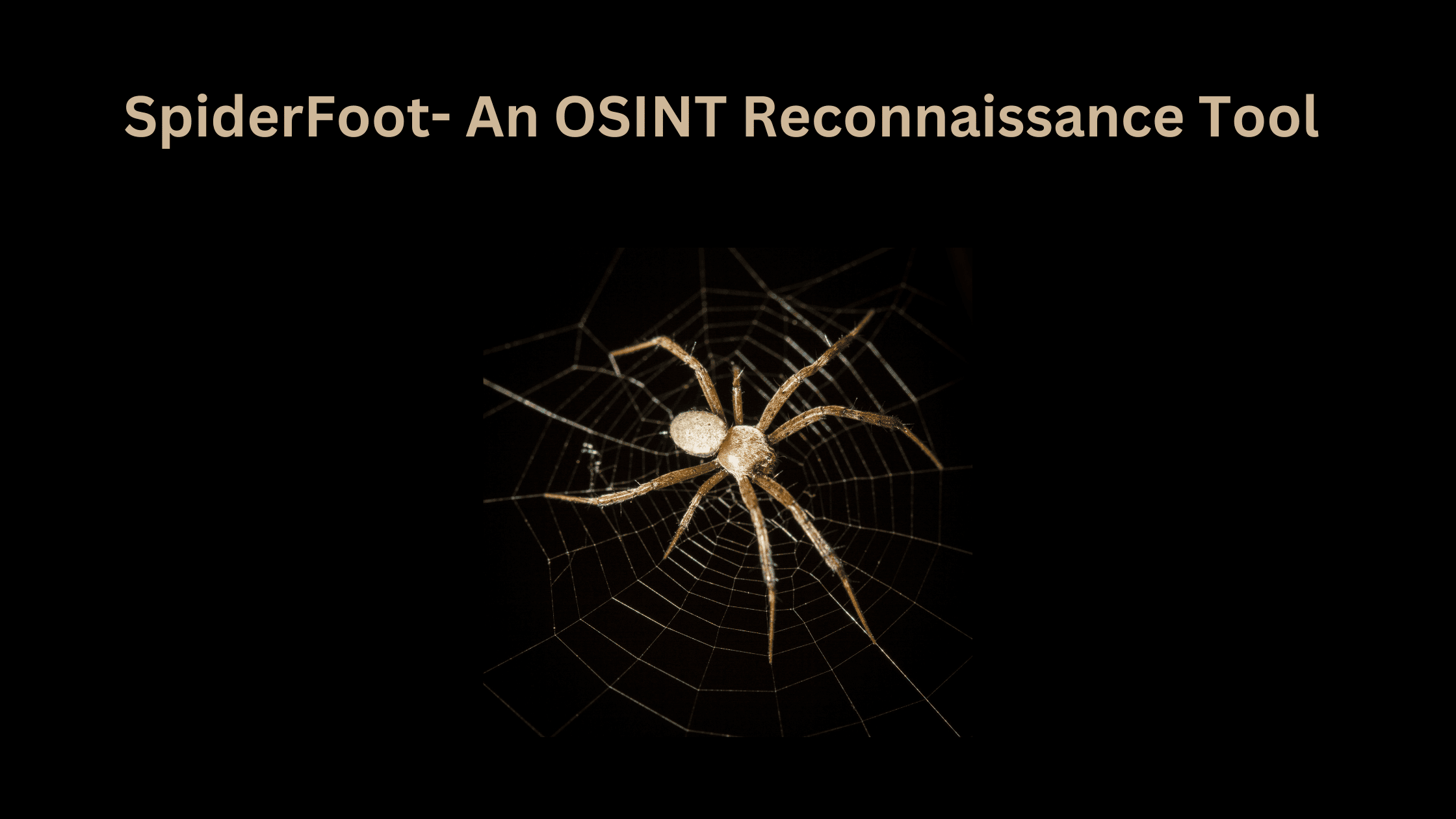 What Is Spiderfoot And How To Setup Spiderfoot On Linux Windown And Mac