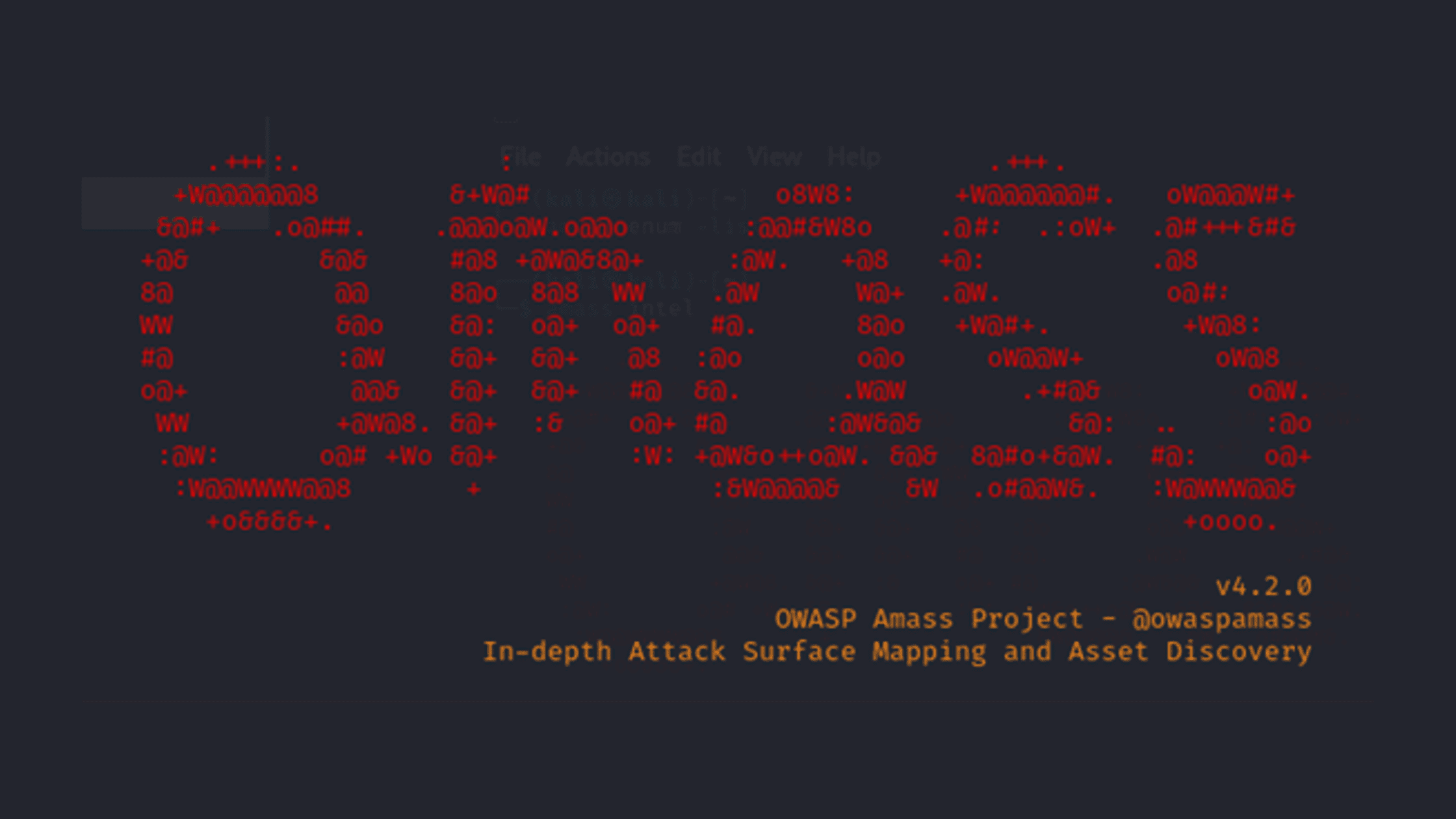 Amass Open Source Reconnaissance Tool For Network Mapping And Information Gathering