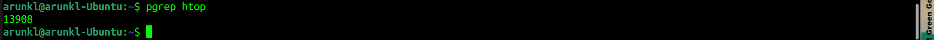 Screenshot of a Linux terminal where the 'pgrep htop' command has been run, showing the process ID '13908' in the output.