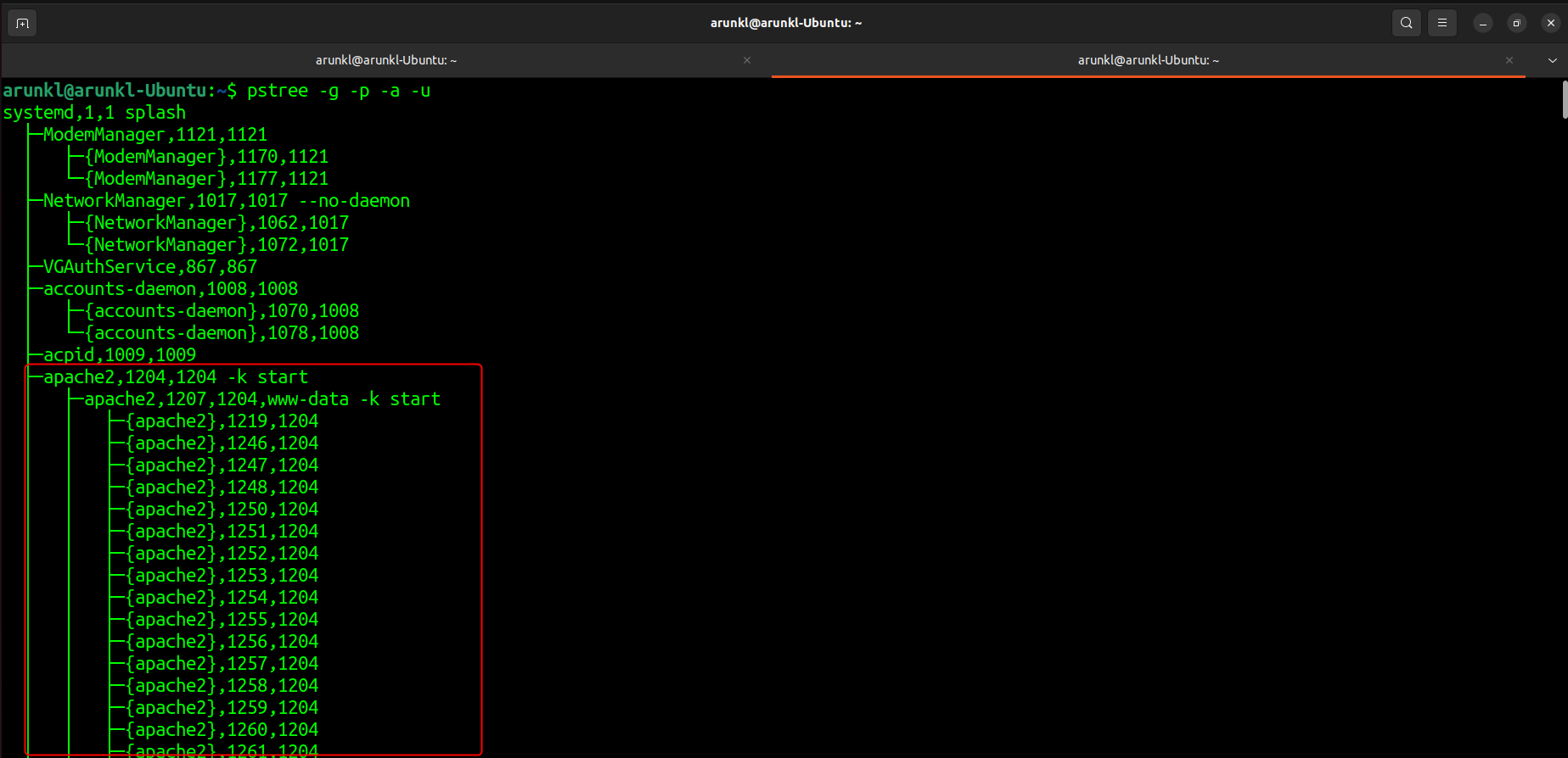 Screenshot of a Linux terminal displaying the 'pstree' command output, highlighting the process tree for the Apache server with its child processes.