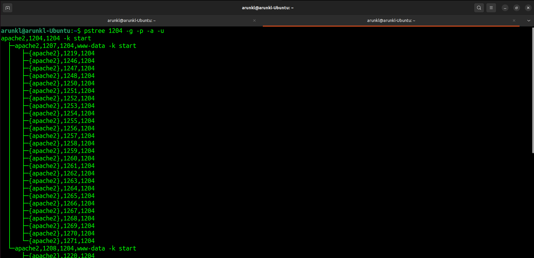 Screenshot of a Linux terminal showing the output of the 'pstree' command, which illustrates the process tree of the Apache web server.