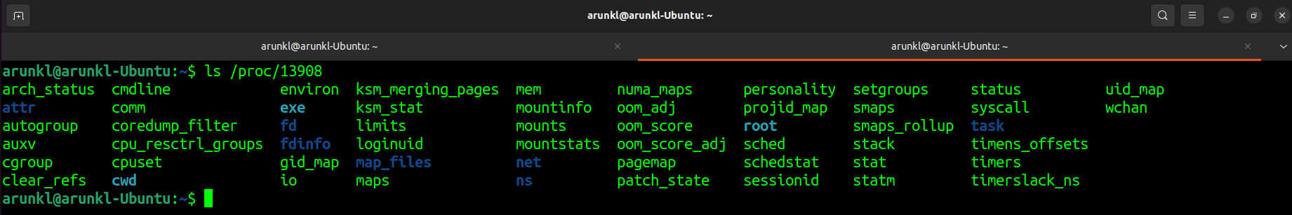 A terminal snapshot showing a list of files within the /proc/13908 directory on a Linux system.