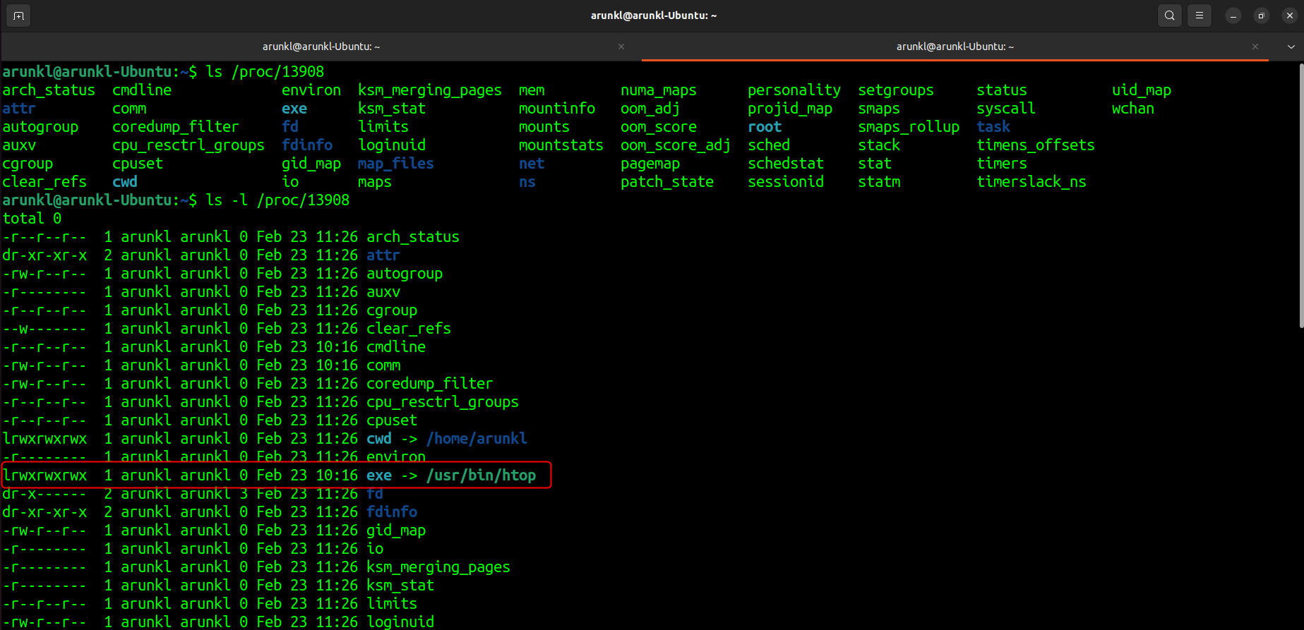 Linux terminal output showing the 'ls -l' command used to list the detailed contents of the /proc/13908 directory, indicating the running 'htop' process.