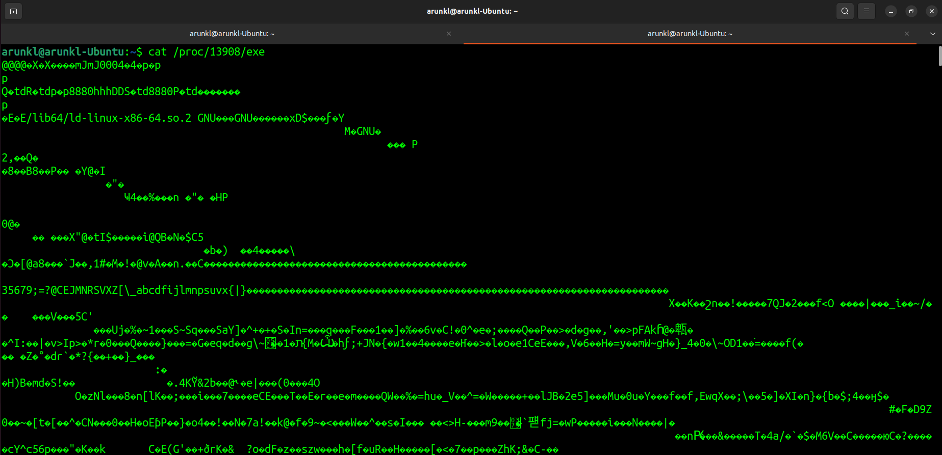 A Linux terminal showing garbled characters as a result of executing the 'cat /proc/13908/exe' command, which attempts to display the in-memory image of an executable.