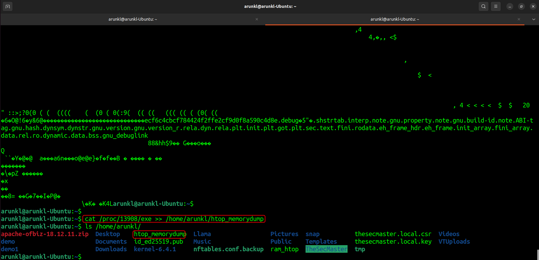 A screenshot of a Linux terminal where the user has redirected the contents of a process's executable file from '/proc/13908/exe' to a file named 'htop_memorydump' in their home directory.