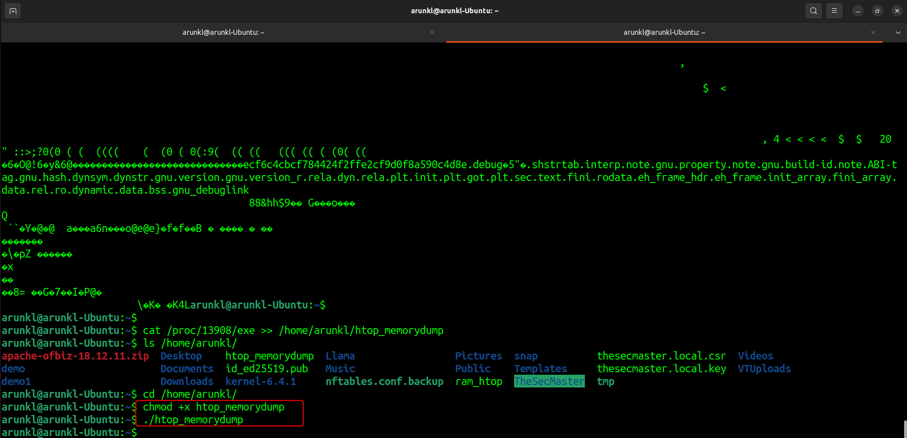 A user on a Linux terminal granting executable permissions to a file named 'htop_memorydump' and then attempting to execute it.
