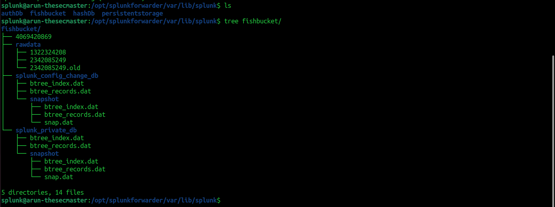 The Universal Forwarder recreated the fishbucket directory with subdirectories and files.