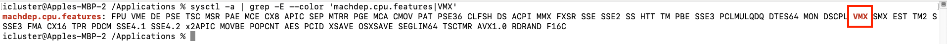 Terminal screenshot showing the VMX feature enabled in CPU features on a macOS system.