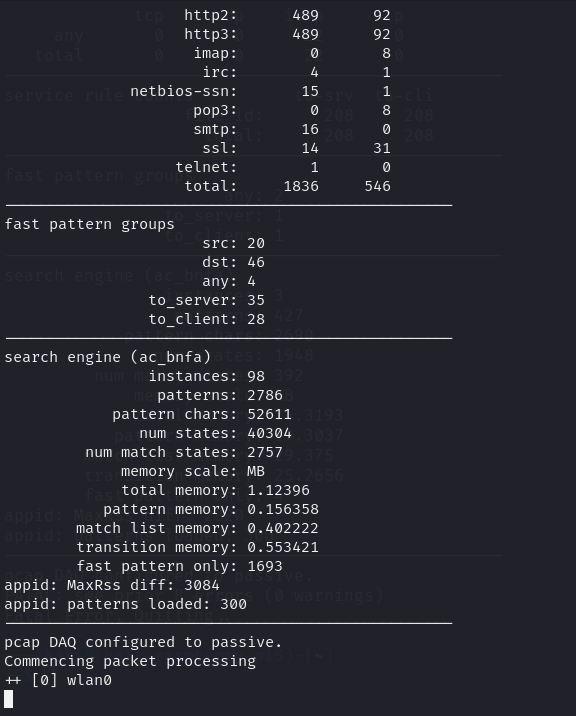 Network statistics and configuration details displayed in a terminal window.