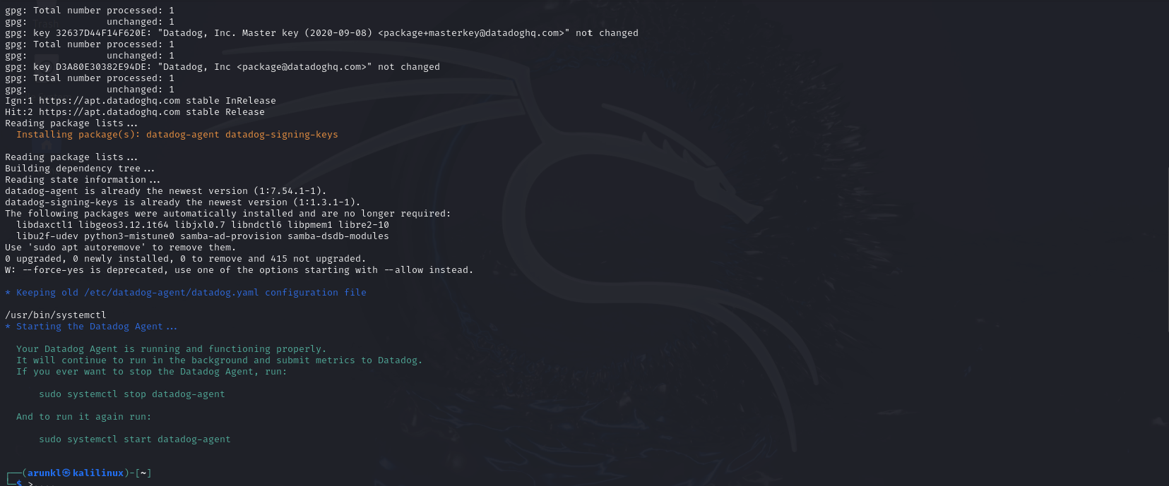 Terminal output confirming the successful update and start of the DataDog Agent on a Linux system.