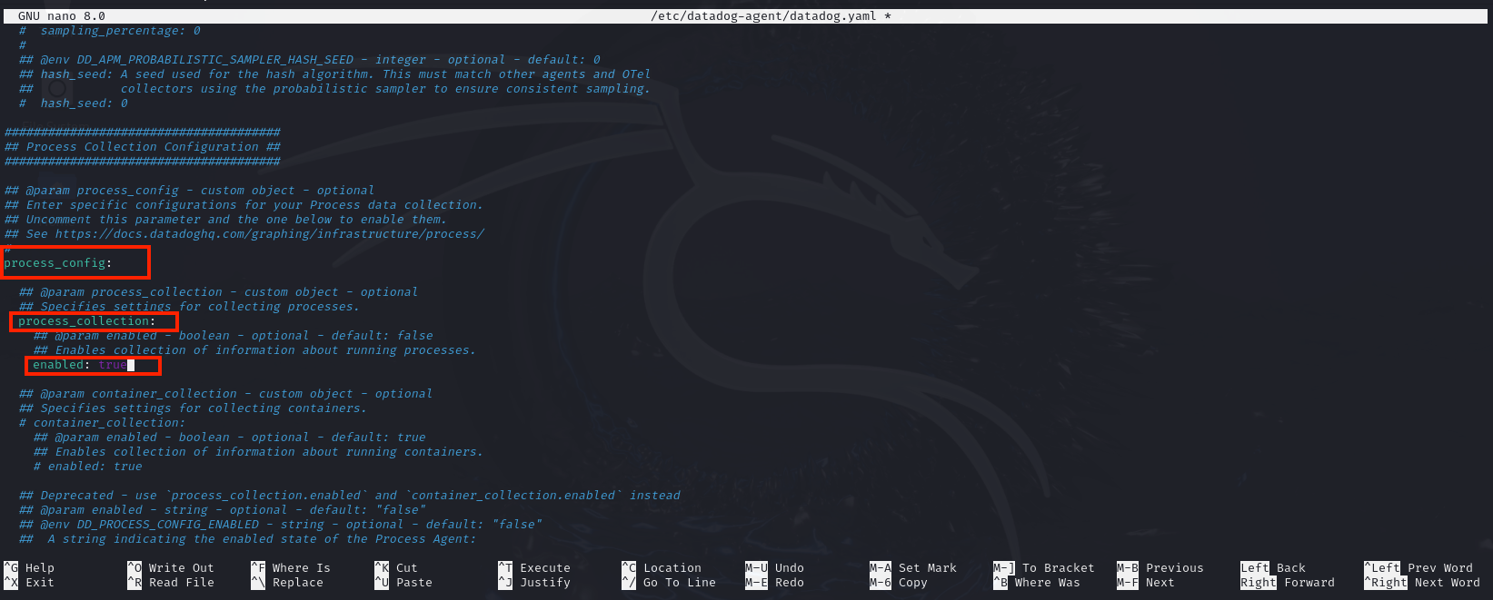Screenshot of editing the 'process_collection' setting in the DataDog configuration file via a terminal editor.
