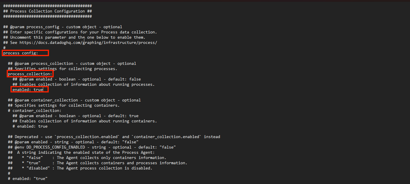 Text editor window showing the configuration settings for process collection enabled in the DataDog agent file on Windows.