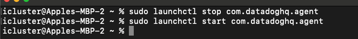 screenshot of a terminal window with commands related to starting and stopping a Datadog agent.
