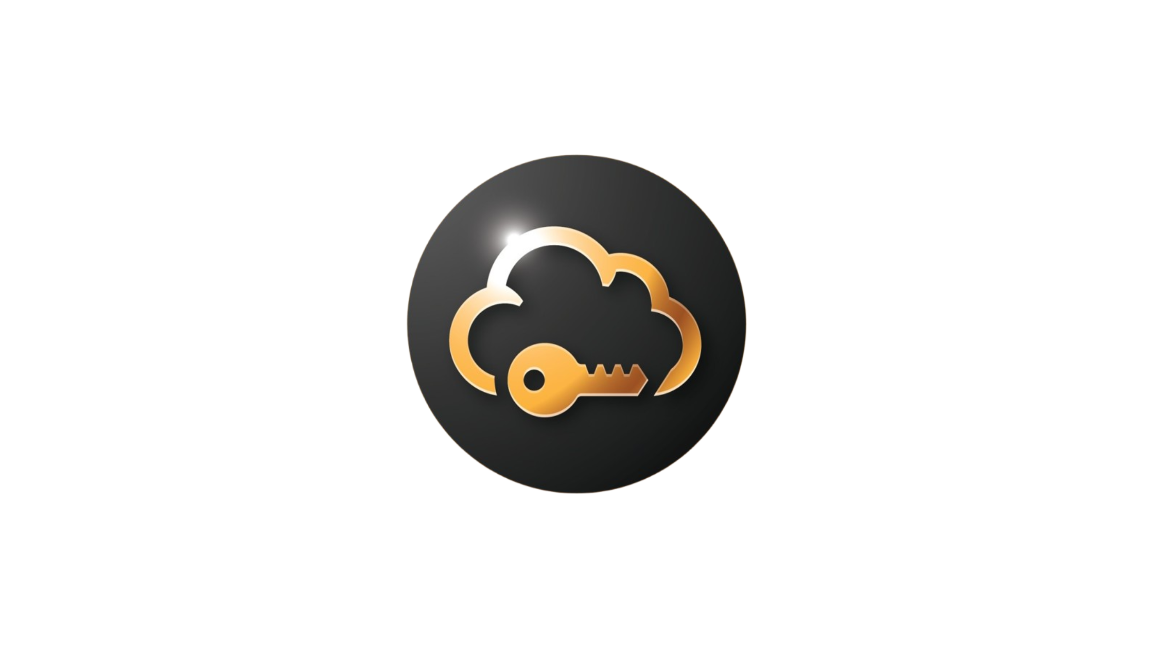 SafeInCloud - Secure Password Manager for All Devices