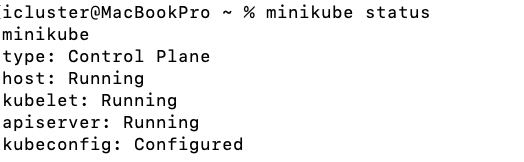 Terminal output showing Minikube status as running for Control Plane, host, kubelet, apiserver, and kubeconfig fully configured.