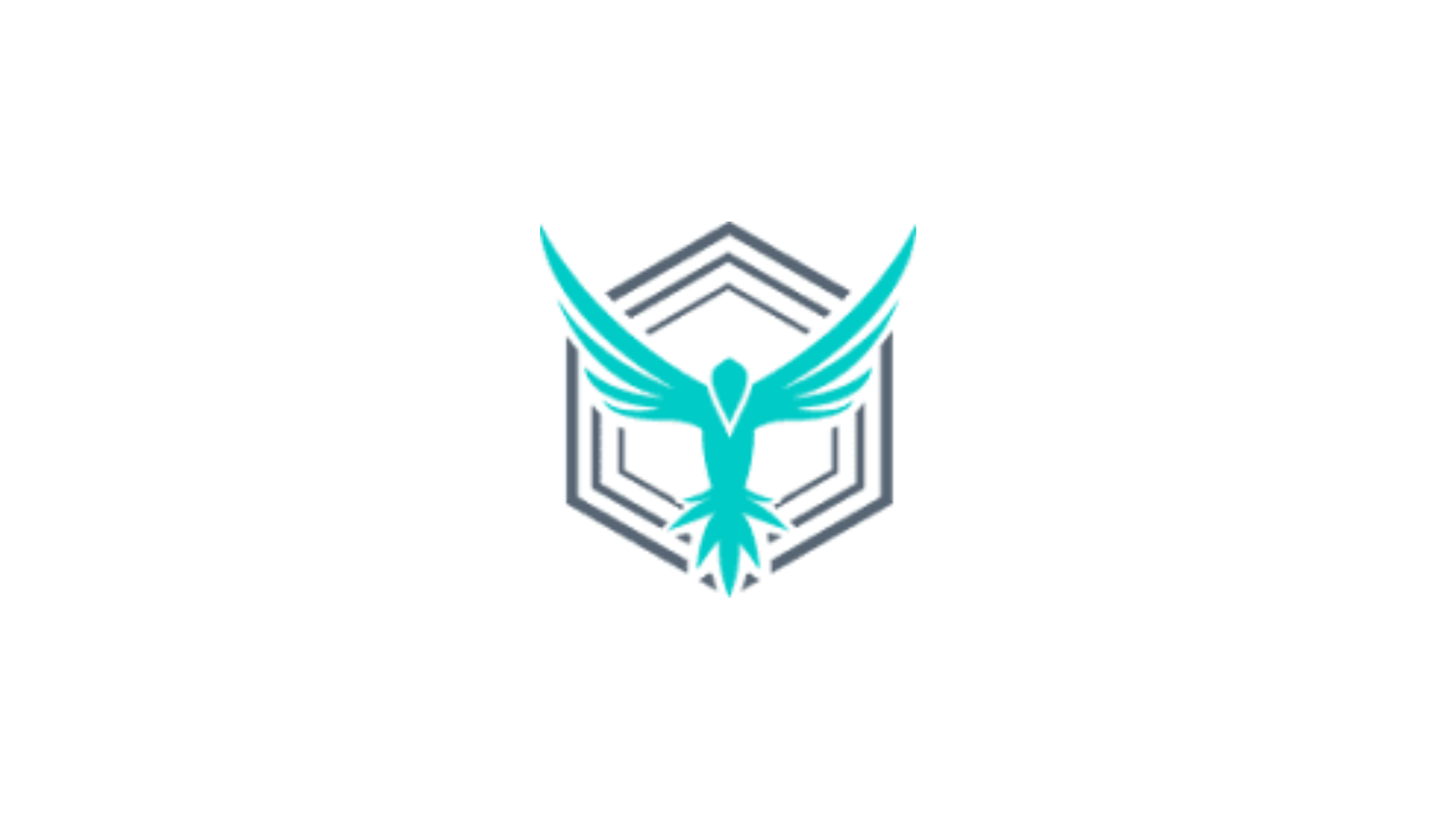StackHawk: Application Security Testing Simplified