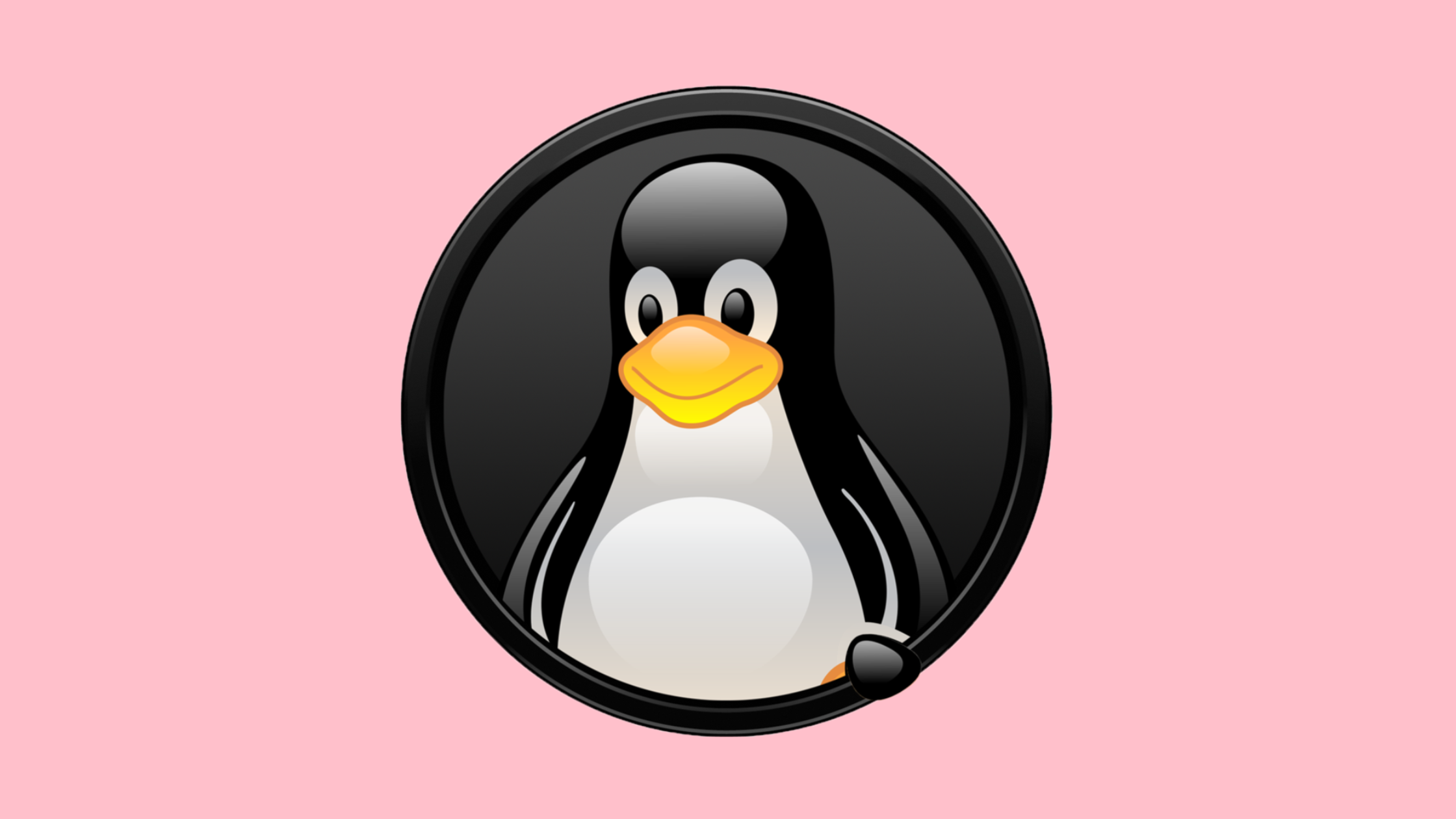 Linux Kernel Vulnerabilities: CVE-2024-53103/53104 Guide