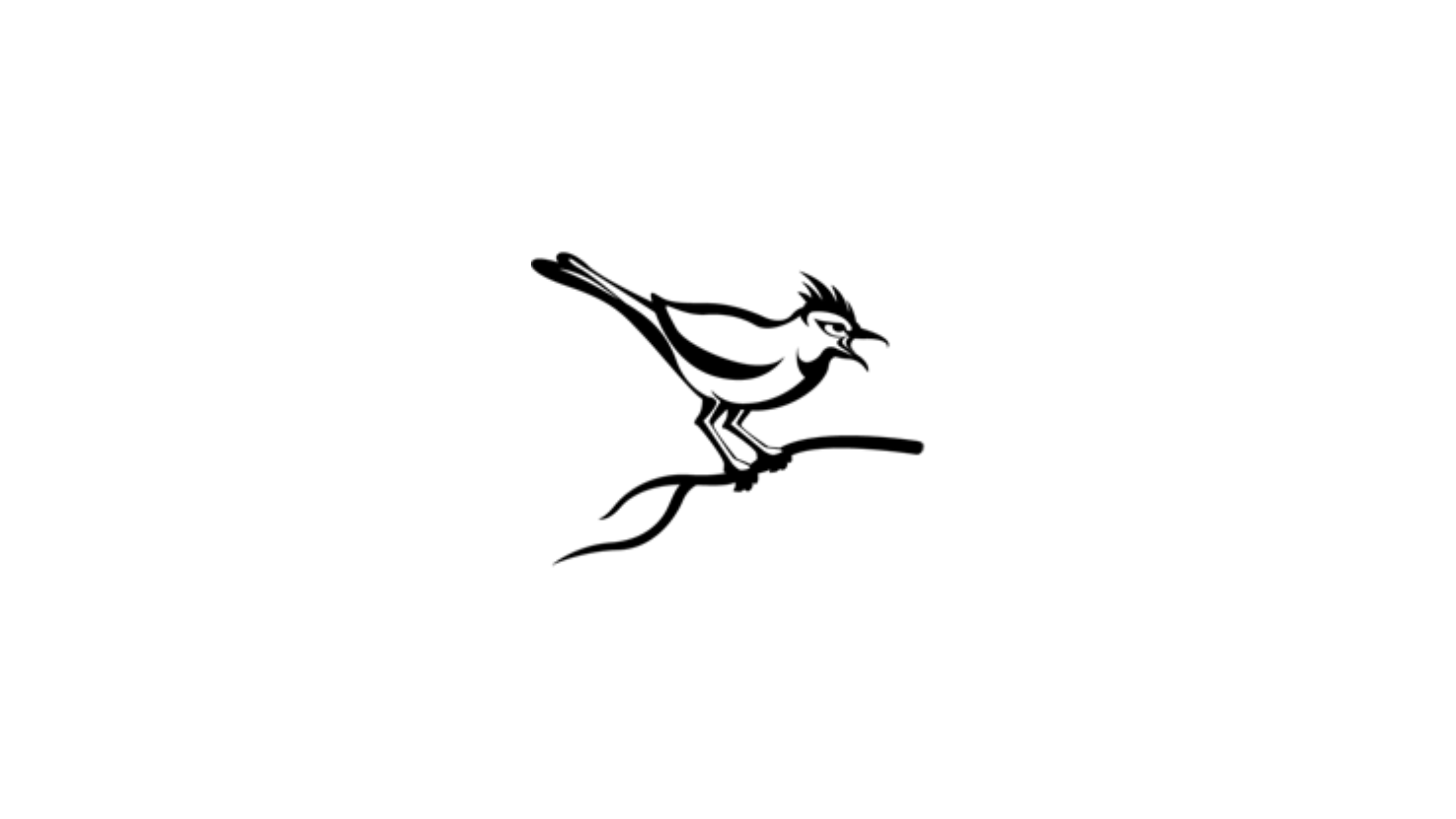 A stylized black-and-white illustration of a cuckoo bird perched on a branch, used as the logo for Cuckoo Sandbox.