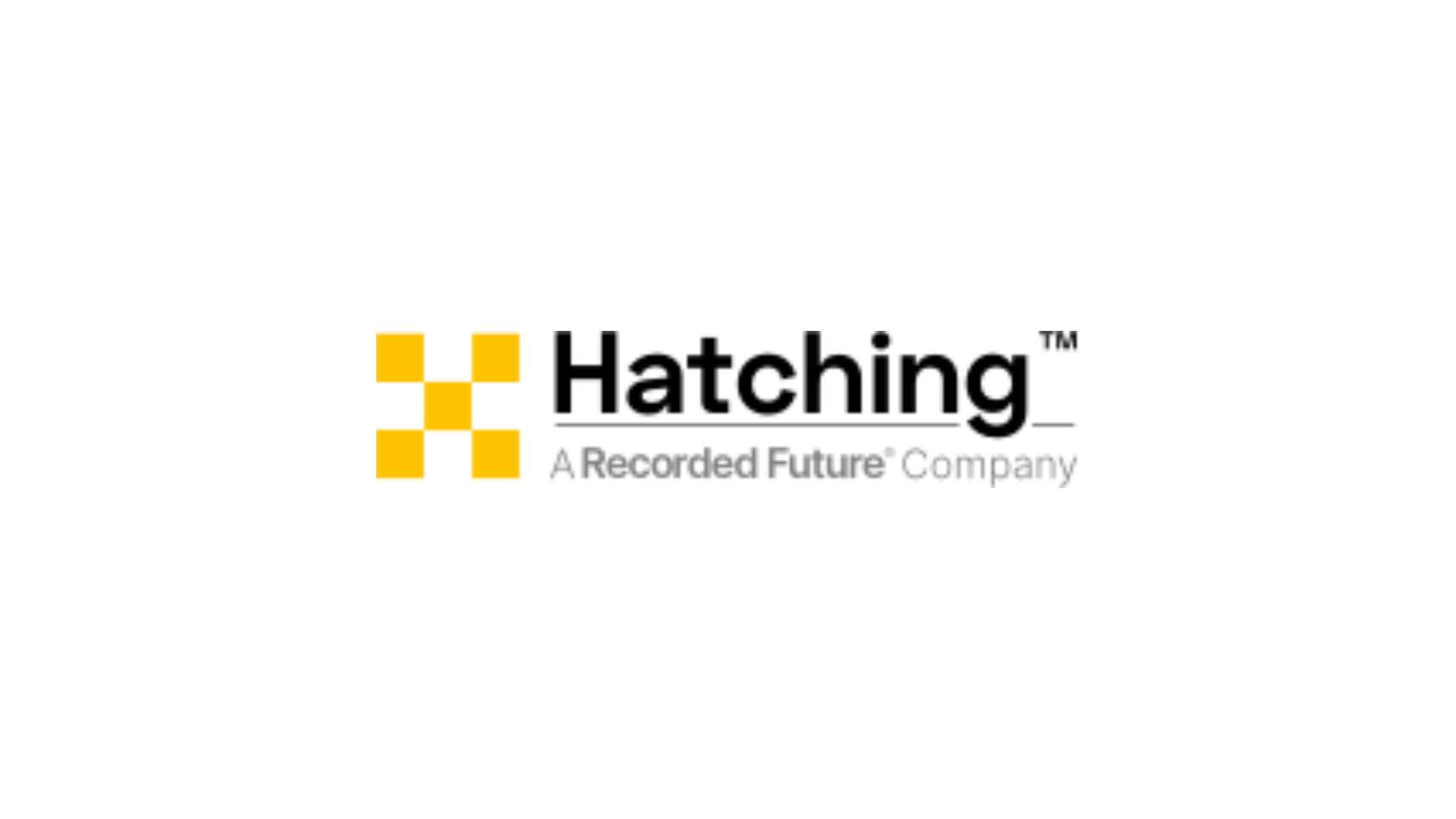 Logo of Hatching Triage, a Recorded Future company offering an advanced sandbox platform for automated malware analysis and threat intelligence