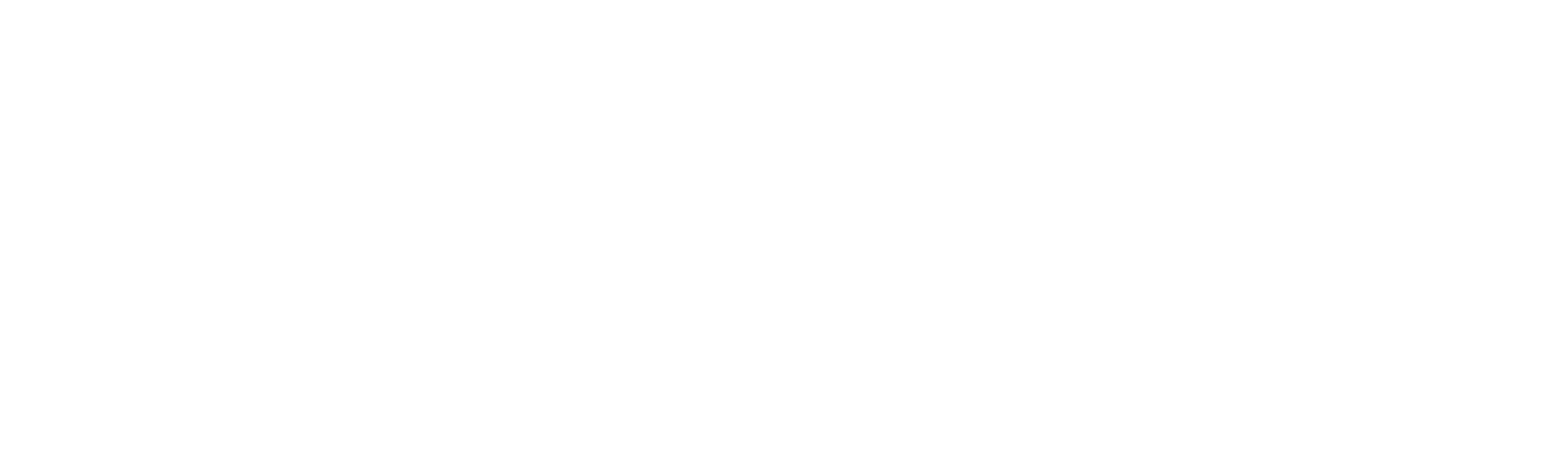 transport thevnet logo