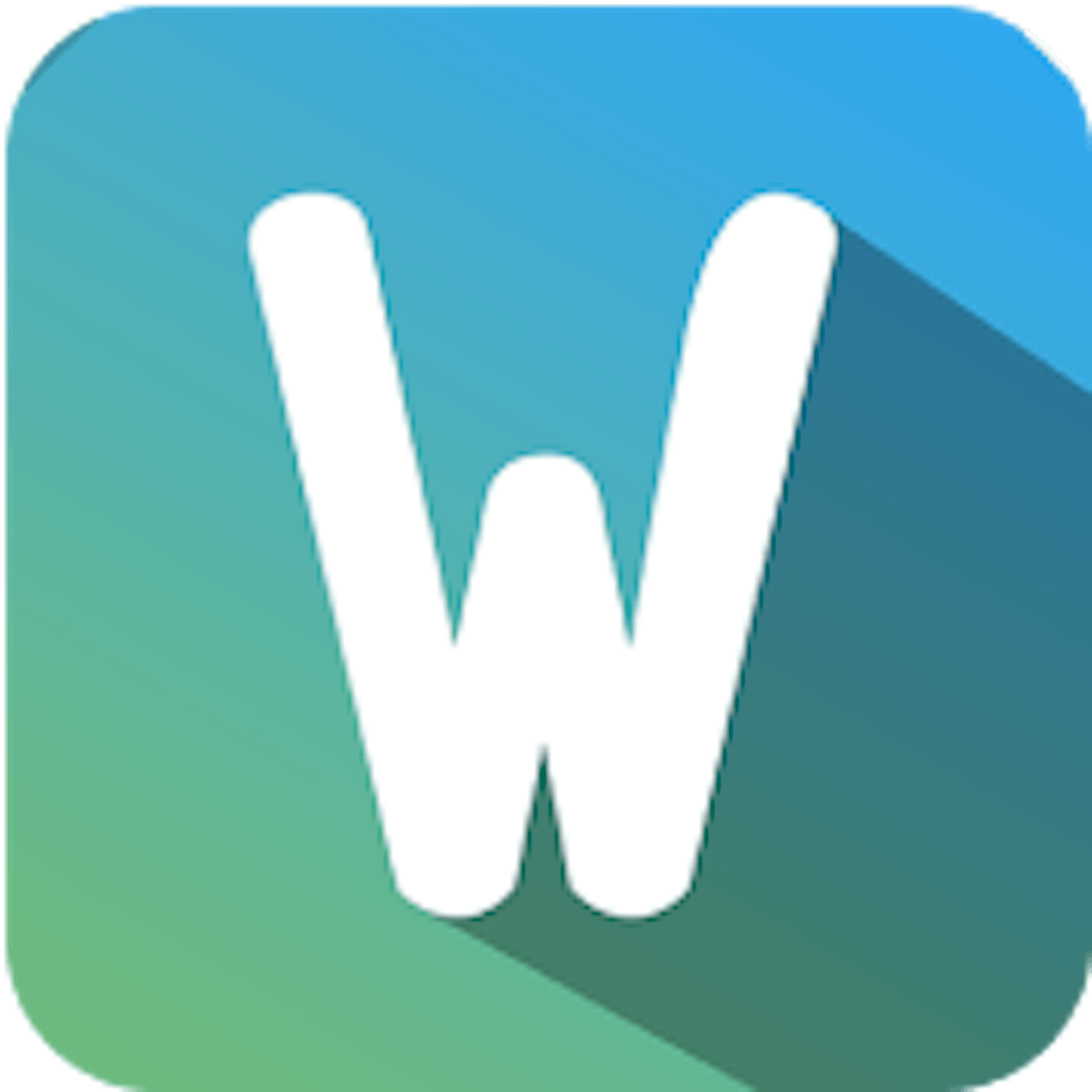 wizi shop logo