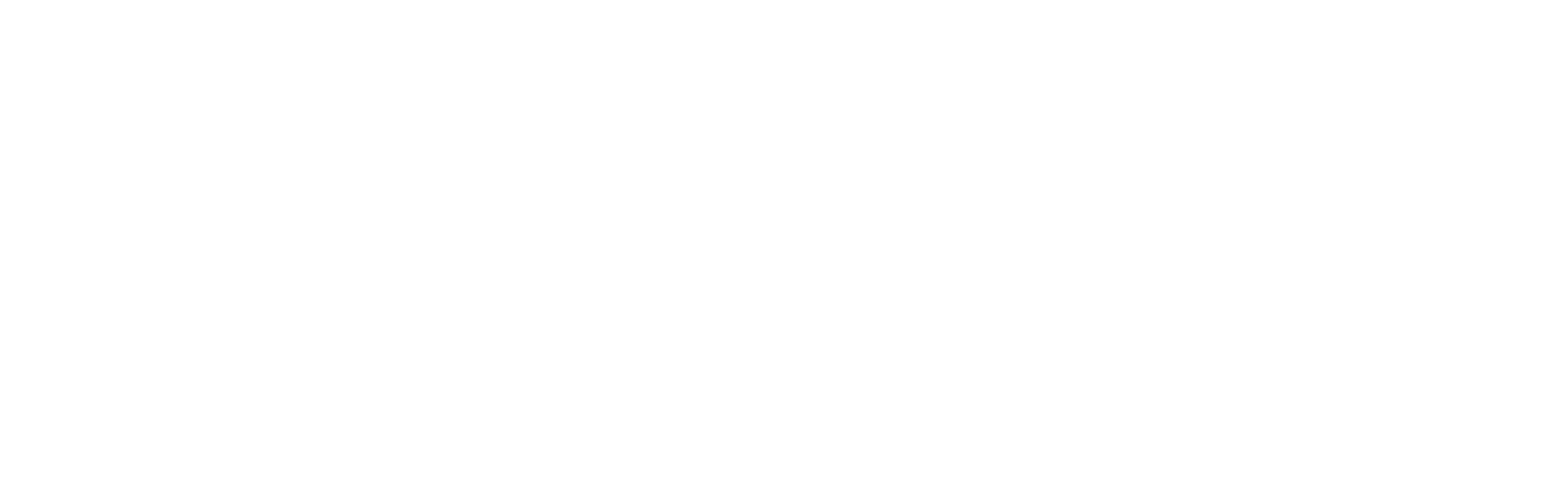 Logo Continental blanc