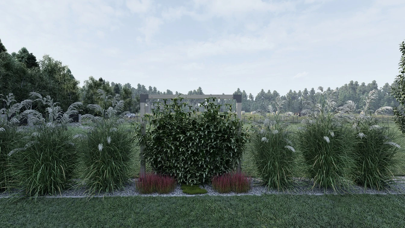 Rabata z trawami ozdobnymi o różnym pokroju.