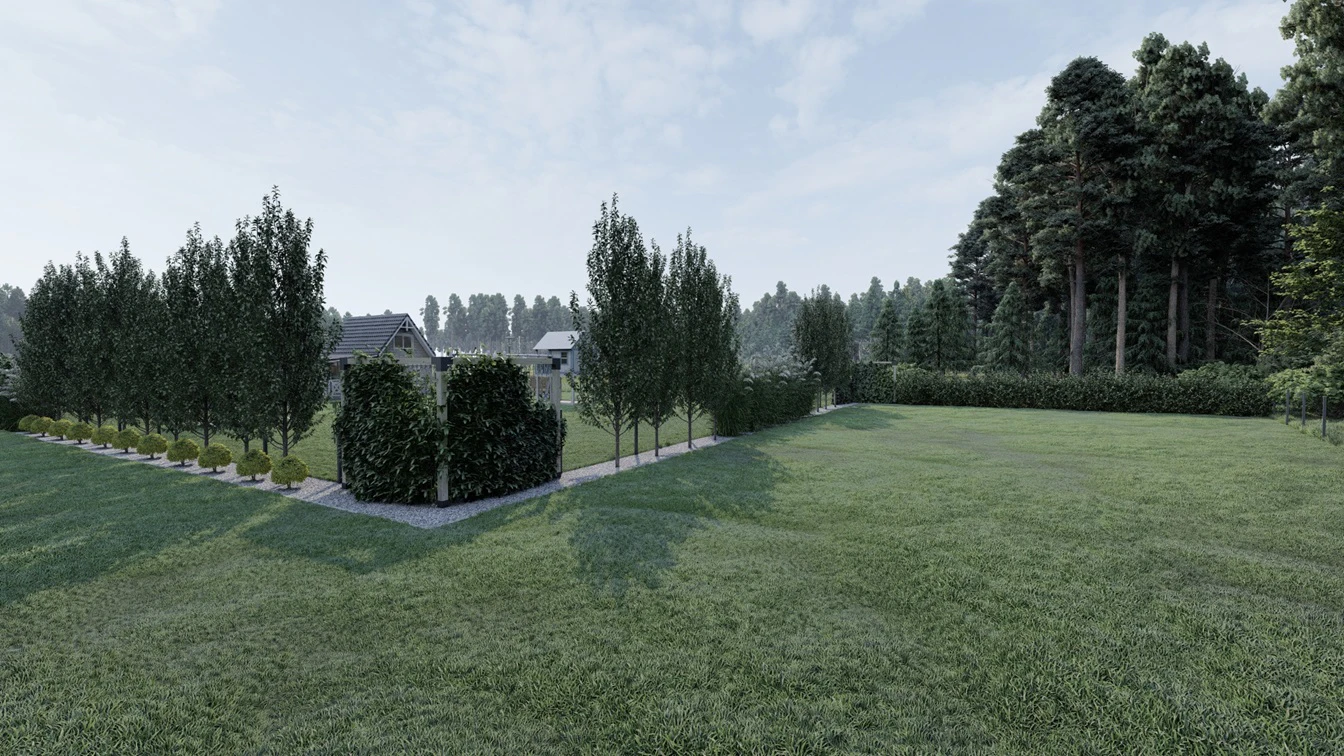 Nasadzenia ozdobne z liści oraz pokroju roślin.