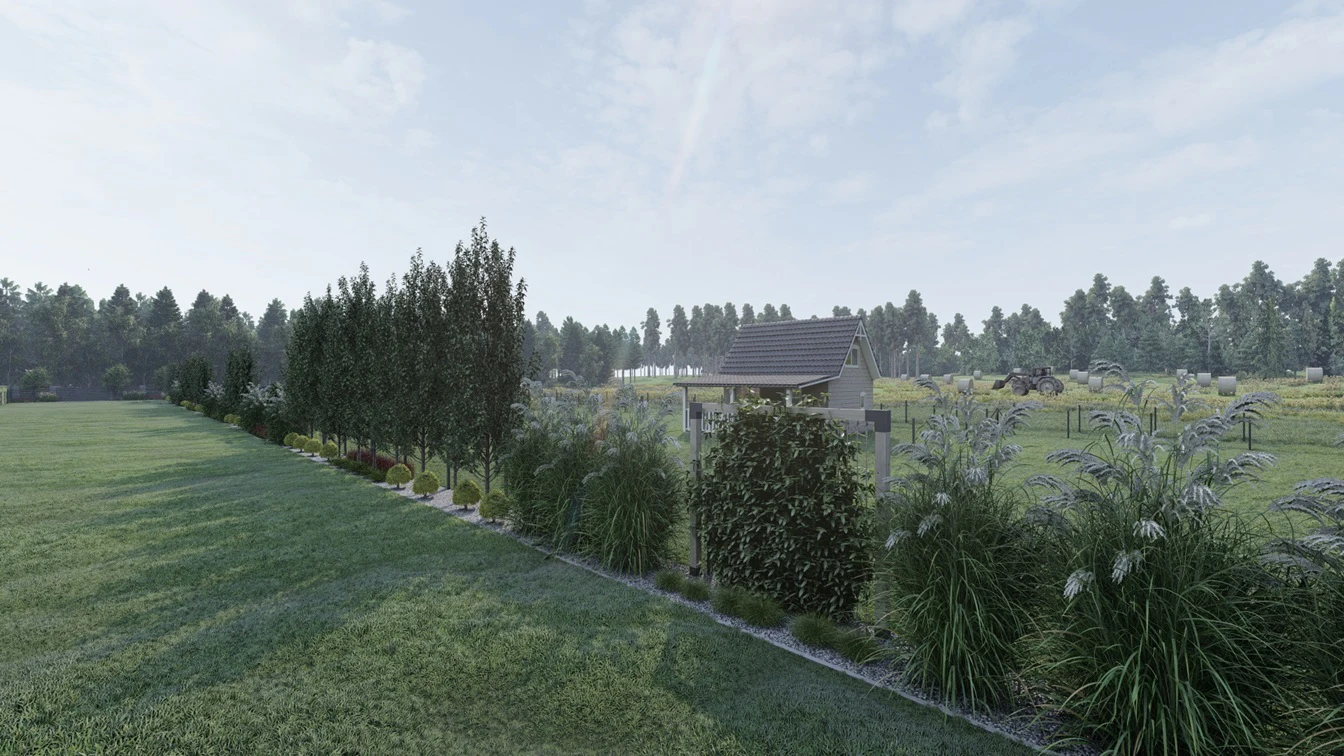 Rabata z nasadzeniami traw ozdobnych.