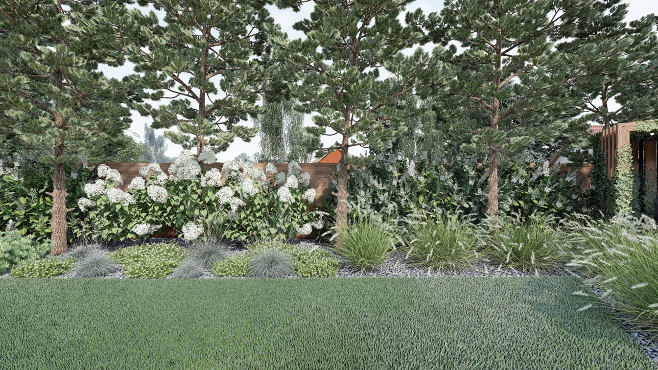 Nasadzenia z drzew sosnowych pod płotem.