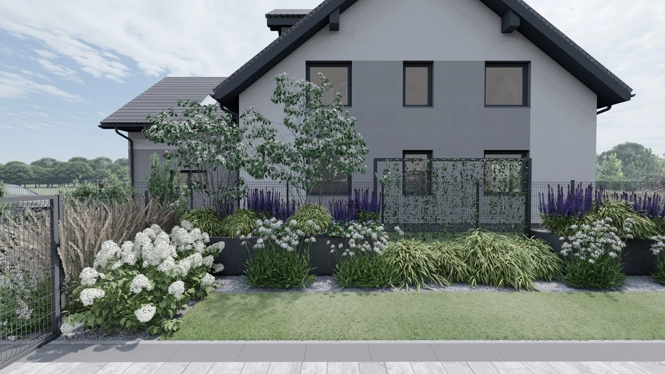 Rośliny w donicach z palisad. Dereń Milky way.