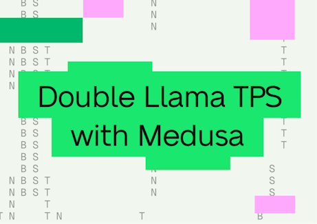 Double Llama TPS with Medusa