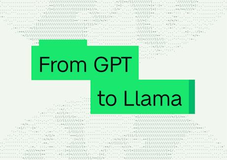 From GPT to llama
