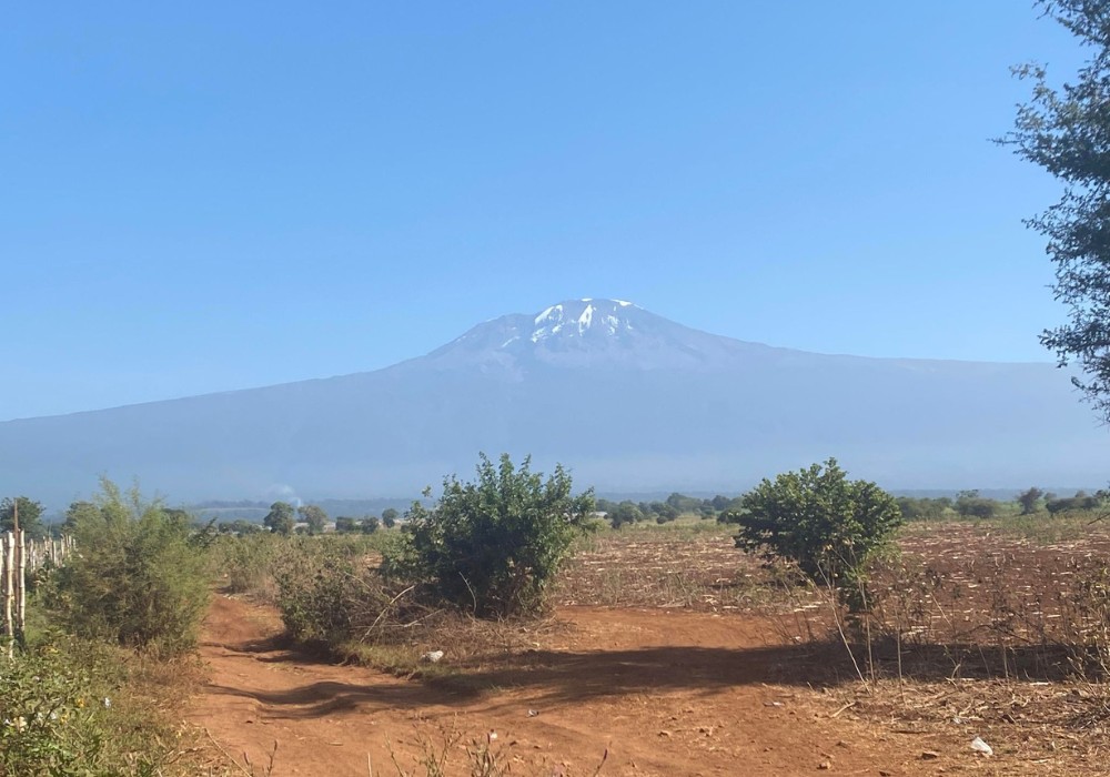 Mt. Kilimanjaro