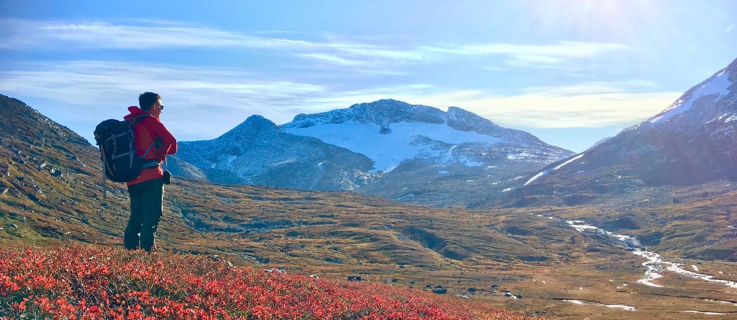 grønland