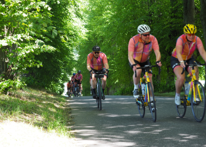 Cykelryttere kommer cyklende på vej inde i skoven
